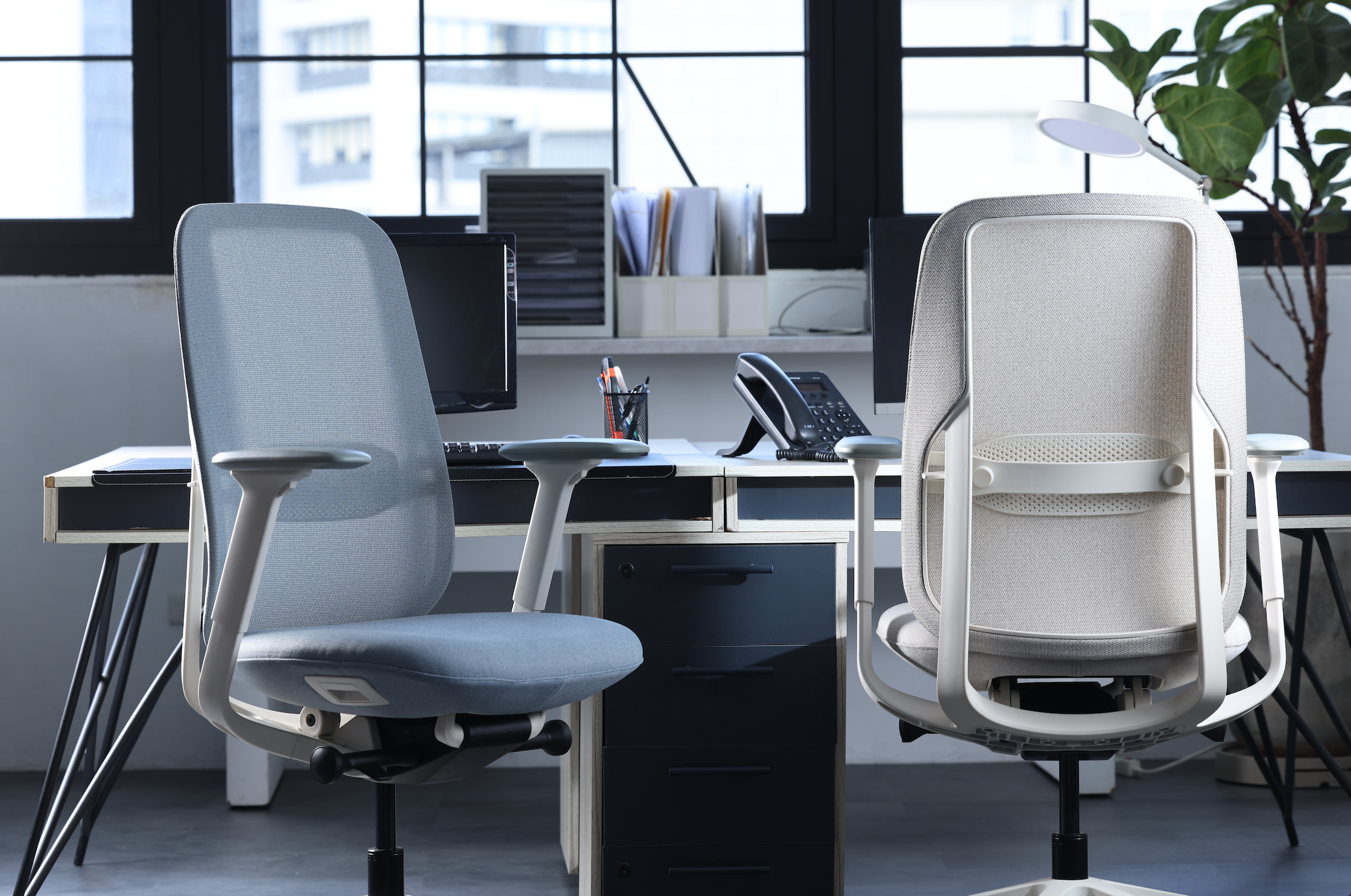 Ergonomic Chairs vs. Traditional Office Chairs: What’s the Difference?